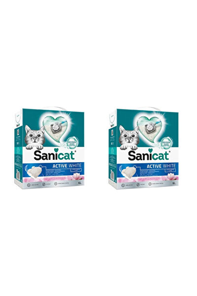 Sanicat Kedi Kumları