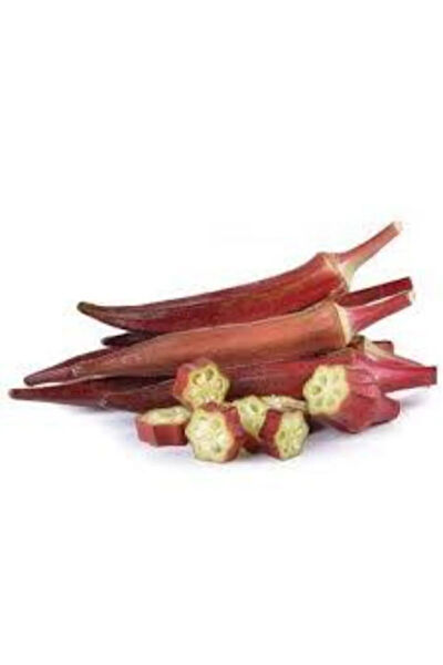 Serdar Çam Tohumculuk Tohum