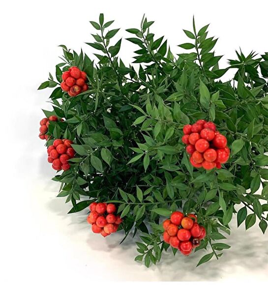 Muhtelif Yapay Çiçek, Meyve