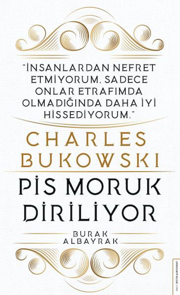Destek Yayınları Roman Kitapları