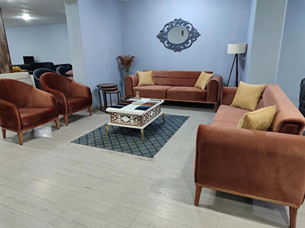 Titiz koltuk Koltuk Takımı