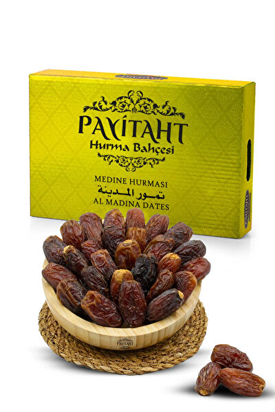 payitaht hurma Hurma