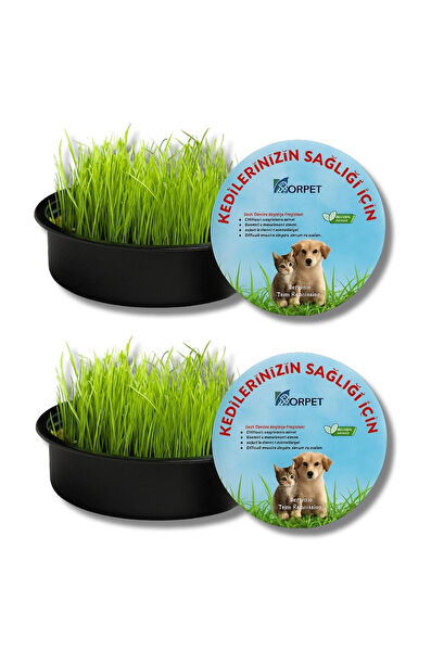 Korpet Kedi Çimleri