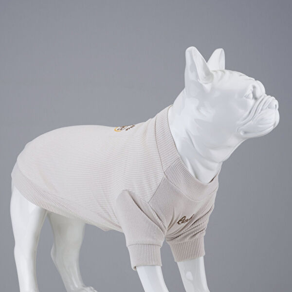 Lindodogs Köpek Kafesi, Aksesuarları