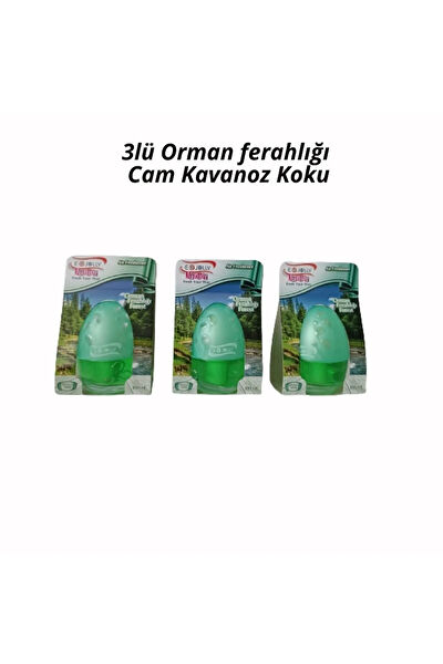 E-Jolly Oto Kokuları