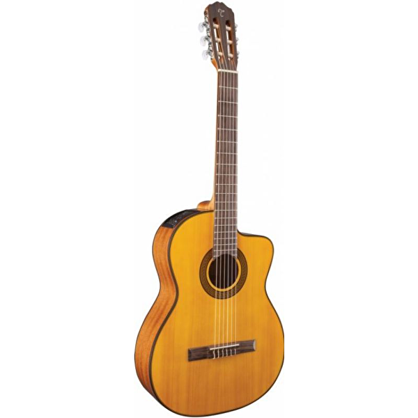 TAKAMINE Gitar