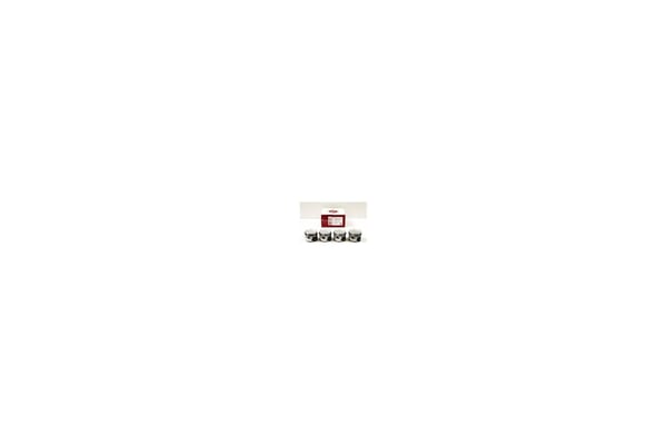 Mette Pistonlar