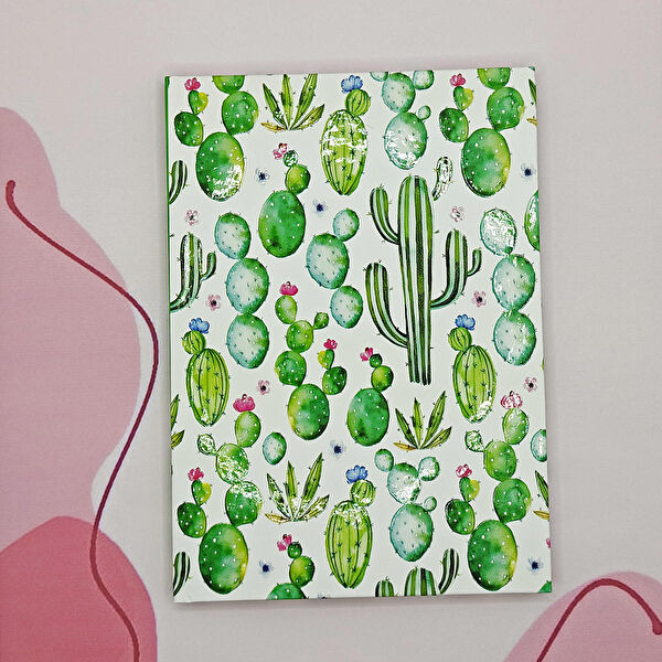 Limmy Defter, Ajanda