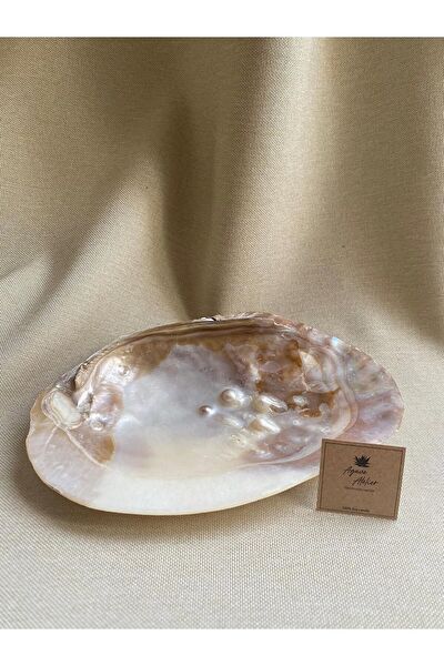 Agave Atelier Akvaryum Dekoratif Malzemeler