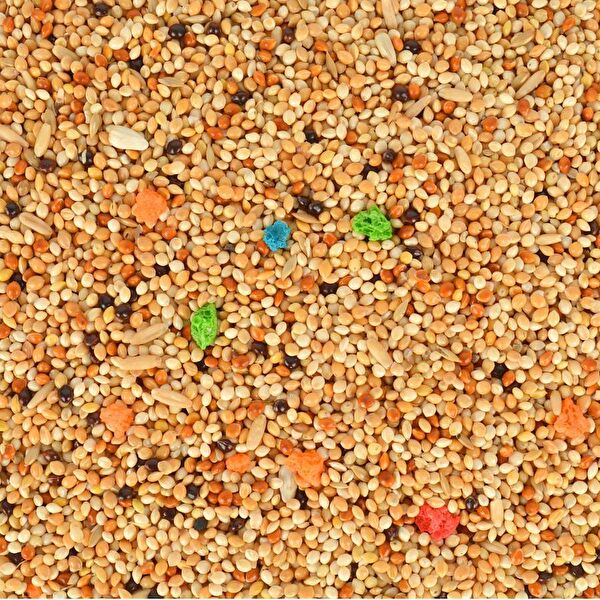 Quik Kuş Yemi, Kraker