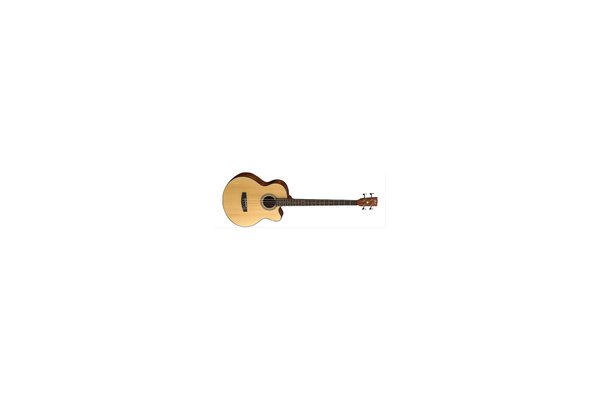 Cort Gitar