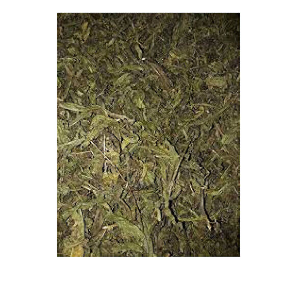 Derya Eren Aktar Ürünleri