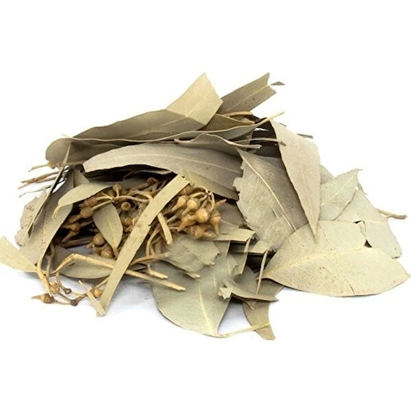 Derya Eren Aktar Ürünleri