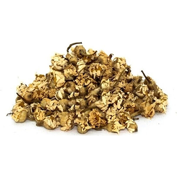 Derya Eren Aktar Ürünleri