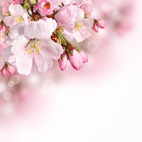 Gök Panel Led Ampul