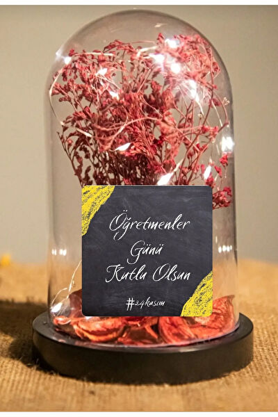 Senoryum Hediyelik Ürün