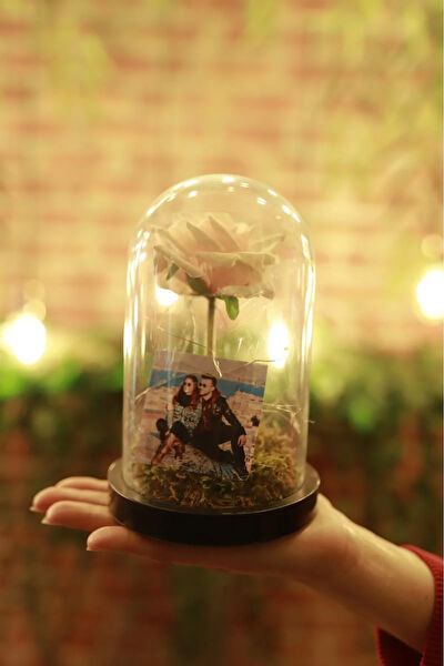 Senoryum Hediyelik Ürün