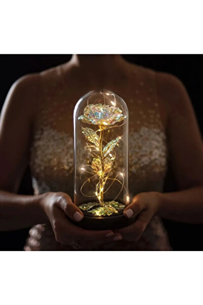 Senoryum Hediyelik Ürün