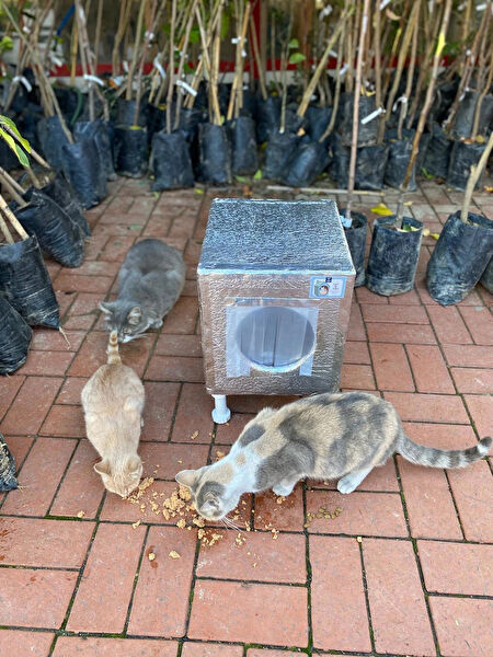 Narım Kedi Yatağı