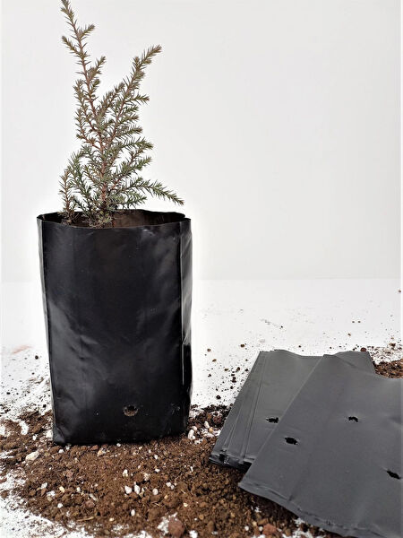 Ekodoğa Bitki Yetiştirme Kiti