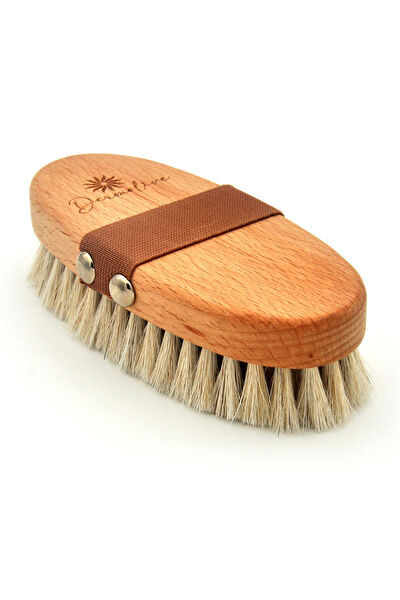 xdeonss Banyo Lifi, Süngeri