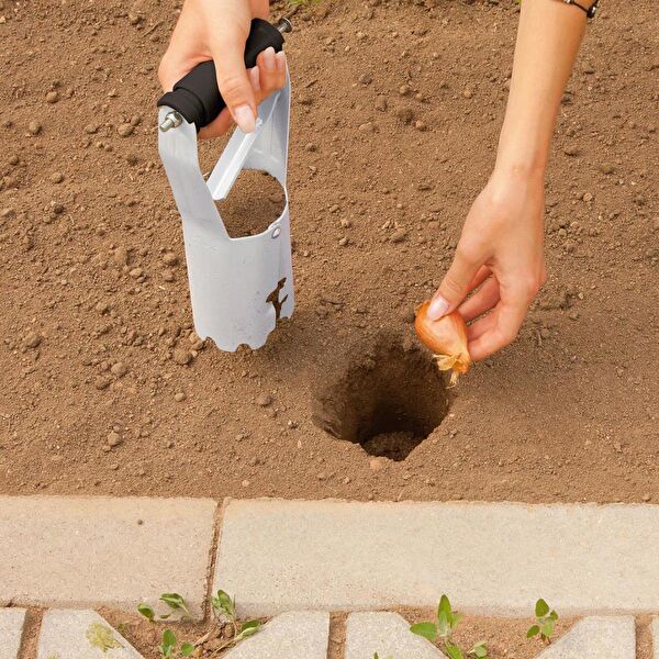 Nettekacmaz Fide Dikici, Sökücü