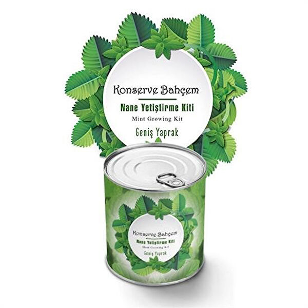 YNT Diğer Vitrifiye Ürünleri