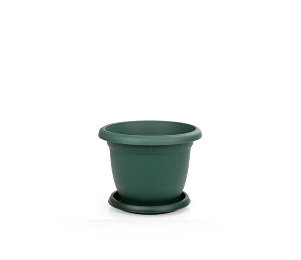 Omnipazar Vazo, Saksı