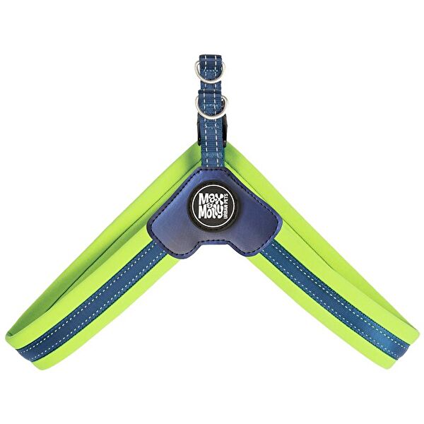 Lepus Köpek Tasmaları