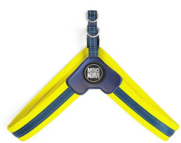 Lepus Köpek Tasmaları