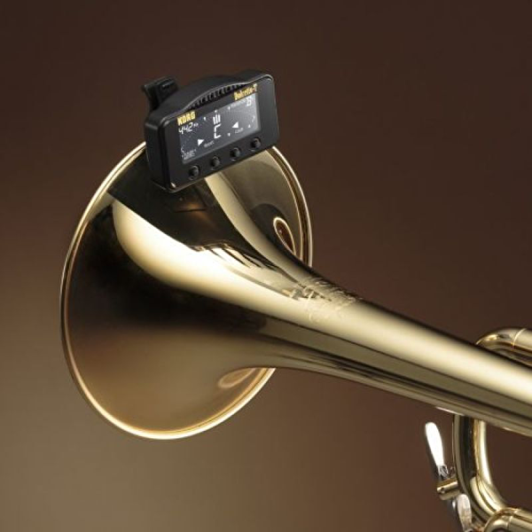 Korg Turner, Metronom