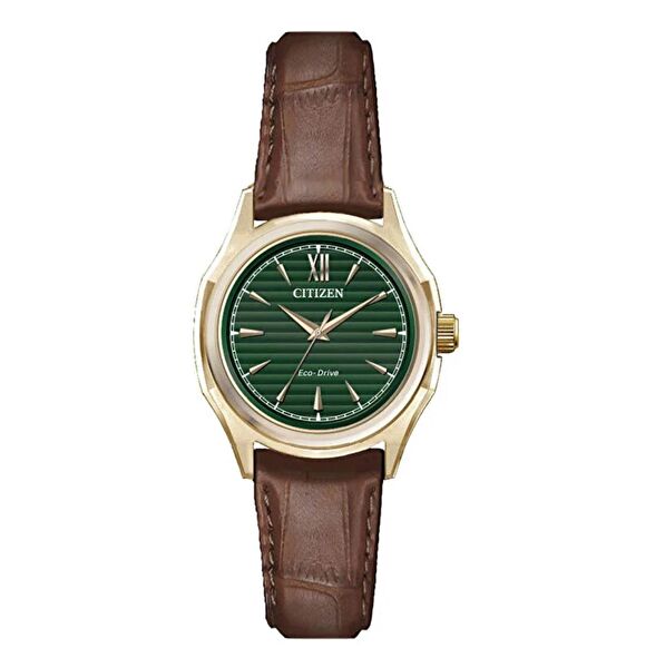 Citizen Erkek Kol Saati