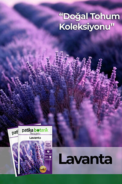 Patika Botanik Tohum