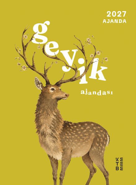Ketebe Yayınları Hobi Kitapları