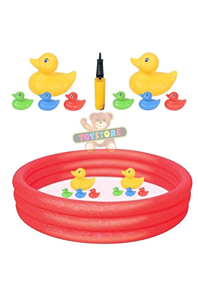 Toysnet Eğitici Oyuncaklar