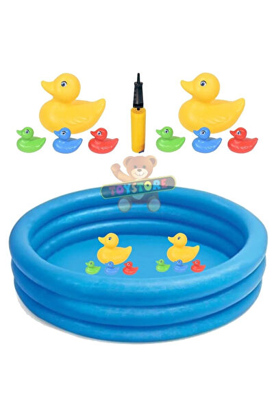 Toysnet Eğitici Oyuncaklar