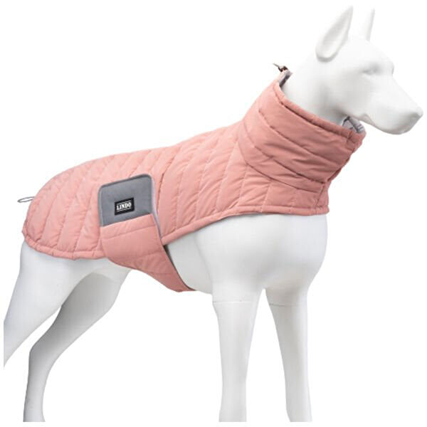 Lindodogs Köpek Elbisesi