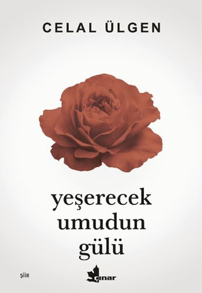 Çınar Yayınları Roman Kitapları