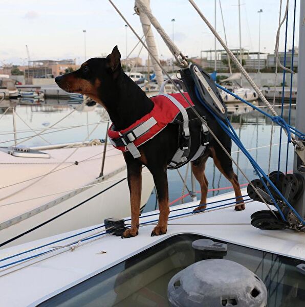 Lalizas Tekne Can Yeleği