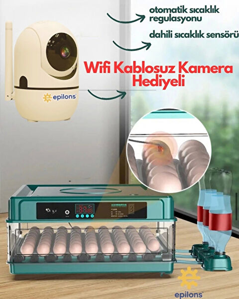 Epilons Kümes Hayvancılığı