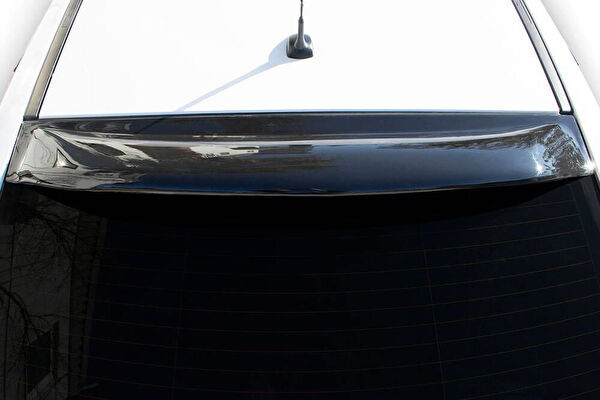 Omsaline Anatomik Spoiler