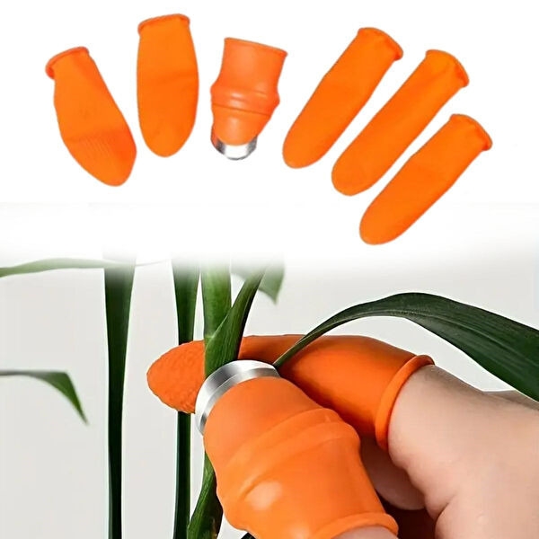 Go İthalat Ellikler ve Eldivenler