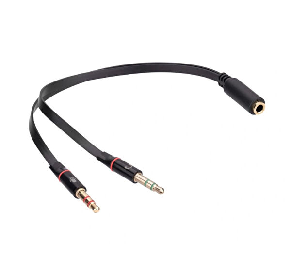 Gaman Çevirici, Dönüştürücü