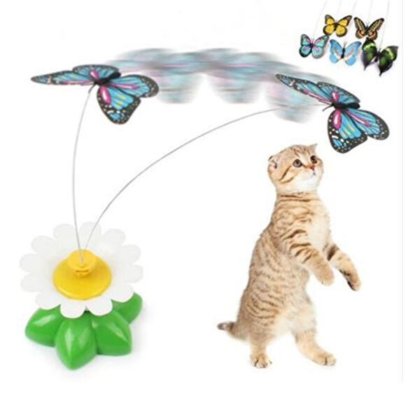 Maarketim Kedi Oyuncakları