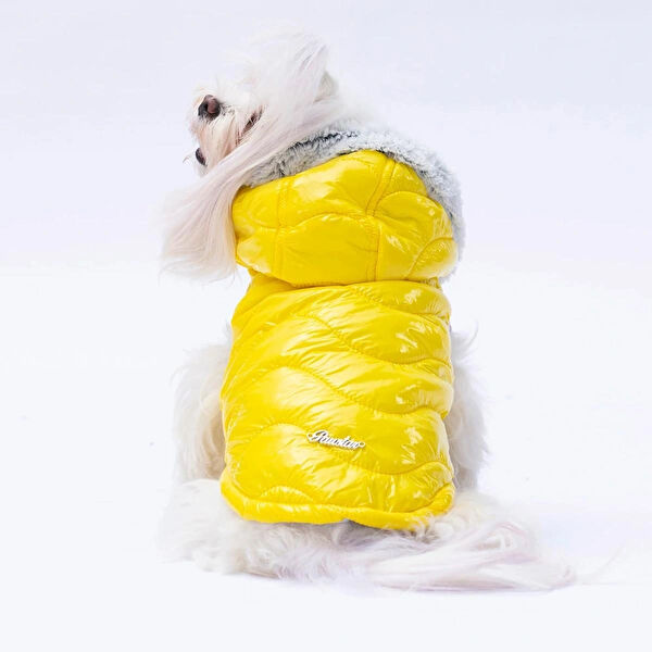 PawStar Köpek Kafesi, Aksesuarları