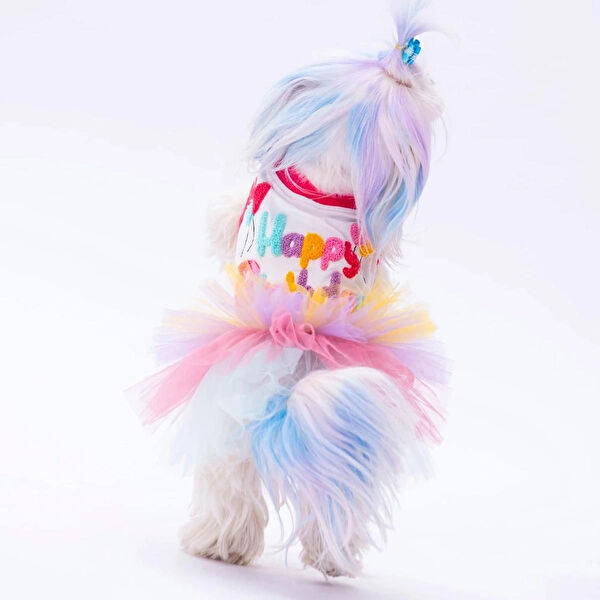 PawStar Köpek Elbisesi