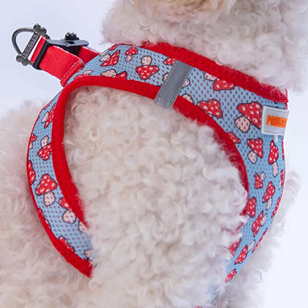 PawStar Köpek Tasmaları