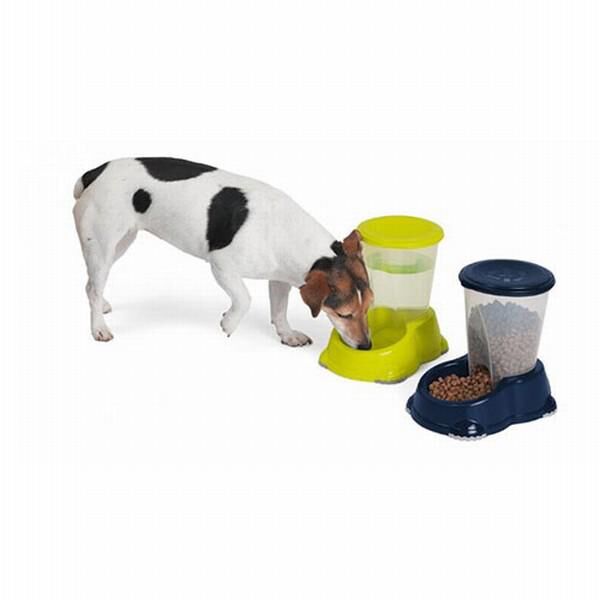 Moderna Köpek Mama ve Su Kapları