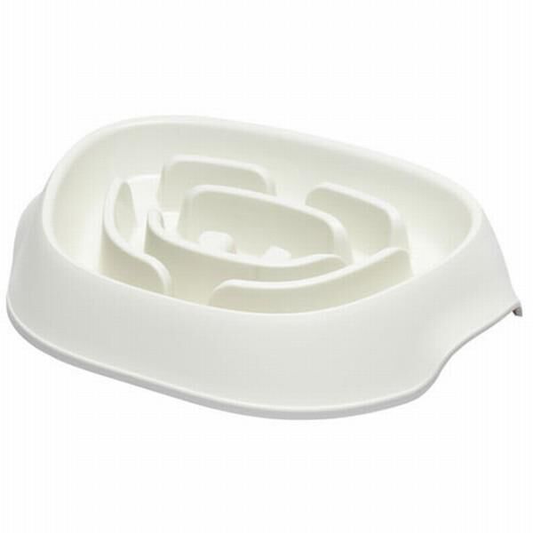 Moderna Köpek Mama ve Su Kapları