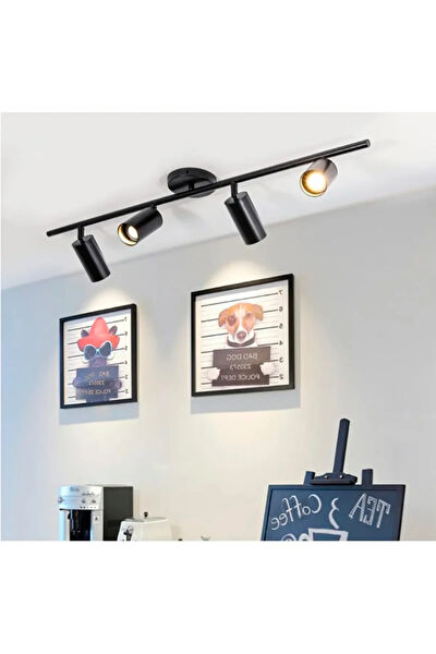 SimaAvize Avize, Sarkıt